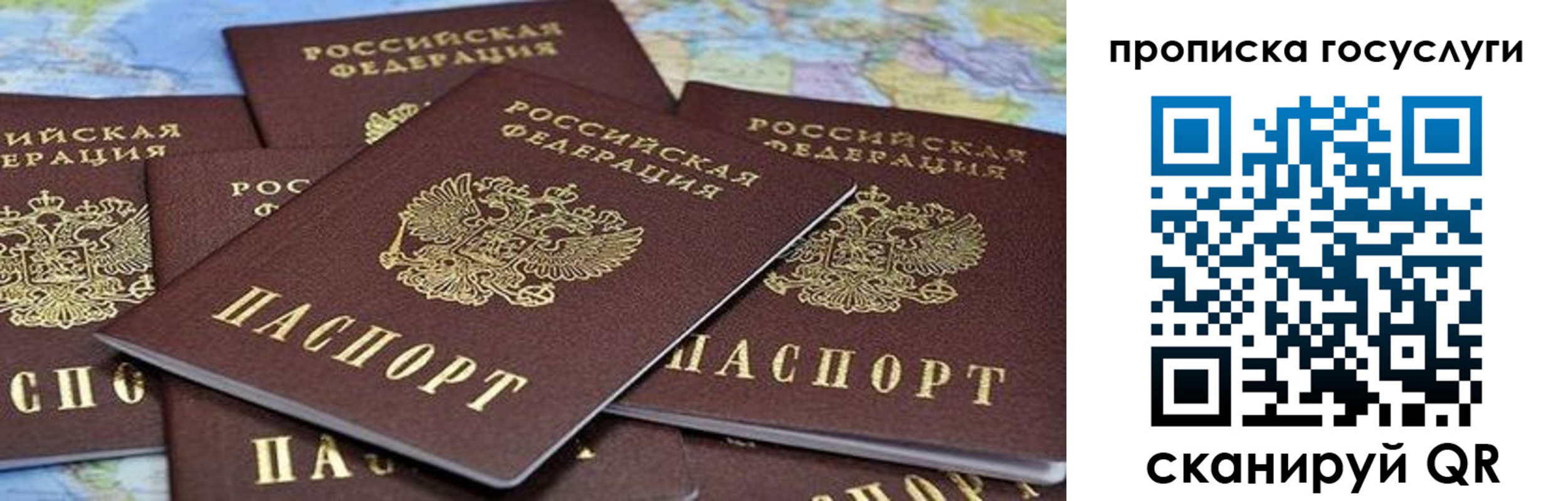 пропишу в квартире в Архангельской области